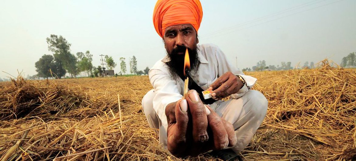 भारत के पंजाब राज्य में एक किसान फ़सल के अवशेष जलाने की तैयारी कर रहा है.