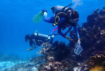 Biologists Maria Fernanda Maya and Mariana Gnecco from NGO Blue Indigo evaluate the health of the coral reef in San Andrés Island.