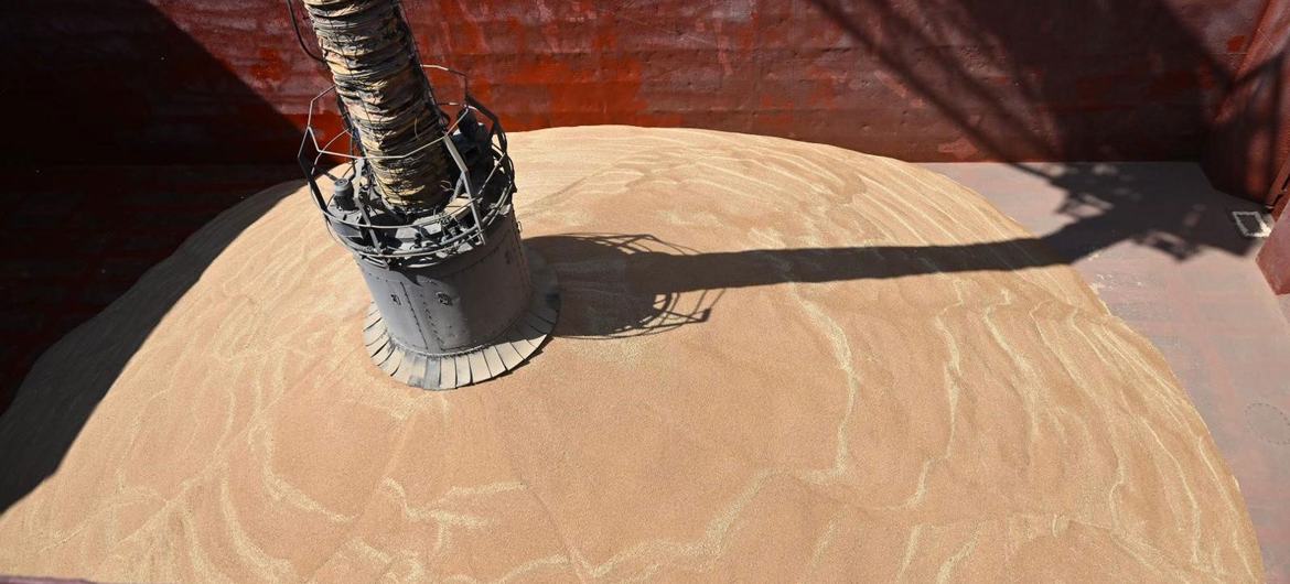 سفينة كوبروسيلي في أوديسا، أوكرانيا، تقوم بتحميل 10,000 طن من الحبوب ثم تتجه إلى تركيا.