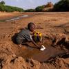 在索马里多洛经历严重干旱的地区，一个小男孩正从一条干涸的河流中收集他所能收集到的水。