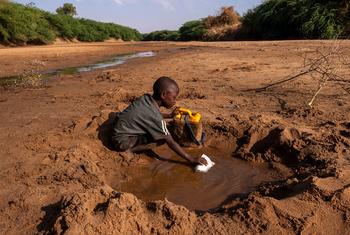 طفل صغير يجمع القليل من الماء الذي يمكنه الحصول عليه من نهر جاف بسبب الجفاف الشديد في دولو بالصومال.