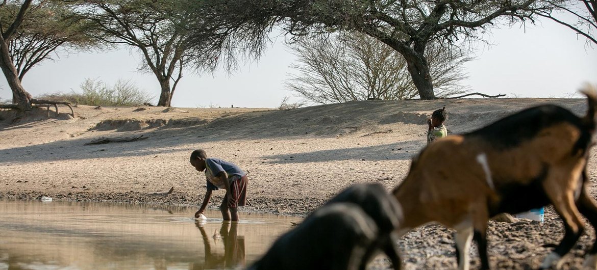 La sequía en el norte de Angola ha dejado familias desesperadas y niños sin educación. 