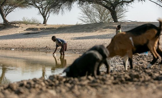 Em Angola, a falta de chuva durante os primeiros três meses do ano arrasou culturas e animais. 