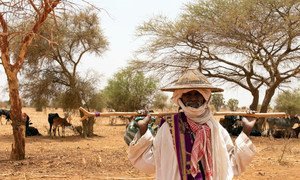 Des centaines de milliers de personnes vivant au Burkina Faso sont en situation d'insécurité alimentaire.