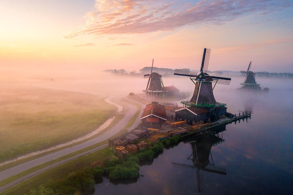 荷兰乡村的田野上升起了晨雾。