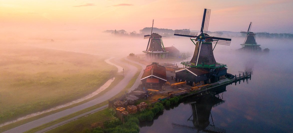 荷兰乡村的田野上升起了晨雾。