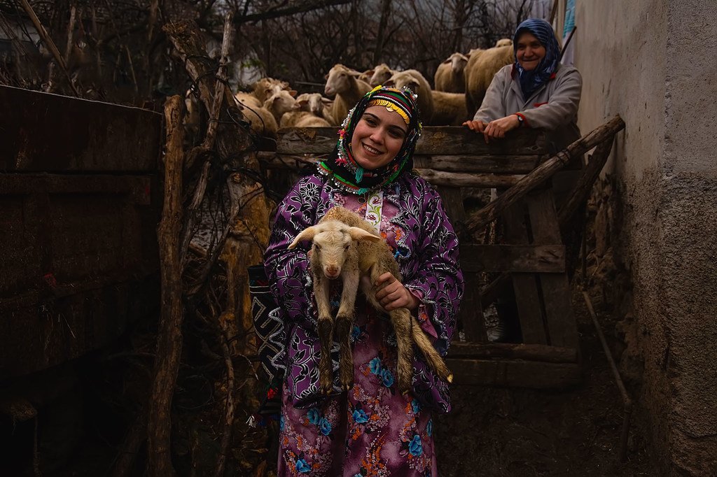 土耳其乡村一名穿着传统服装的妇女抱着她的一只动物。