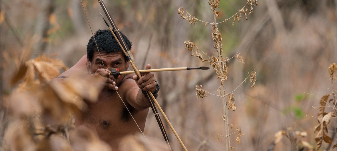 Os meios de subsistência e as atividades econômicas de muitos povos indígenas se transformaram. 