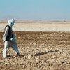 अफ़ग़ानिस्तान के कन्दाहार प्रान्त में एक किसान को यूएन एजेंसी ने गेहूँ के बीज वितरित किये हैं. 