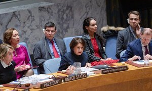 Rosemary DiCarlo, Under-Secretary-General for Political Affairs, briefs the members of the UN Security Council.
