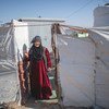 一名75岁的叙利亚妇女独自生活在难民营中。她的丈夫在这个难民营去世。她的几个孩子留在叙利亚，而另一些孩子则重新安置在欧洲。