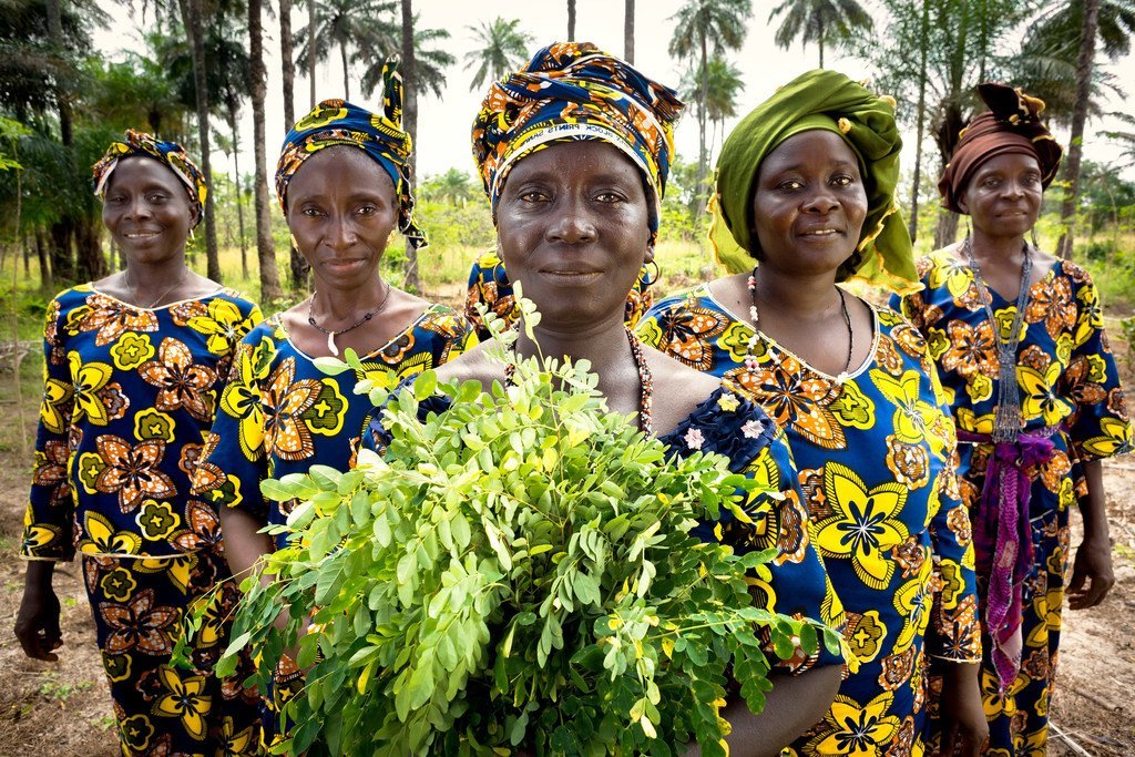 Dans le village de Katfoura, sur les îles Tristao en Guinée, l'organisation de la société civile Partenariat Recherches Environnement Médias (PREM) offre aux femmes rurales de nouvelles opportunités pour générer des revenus et améliorer la vie communautai