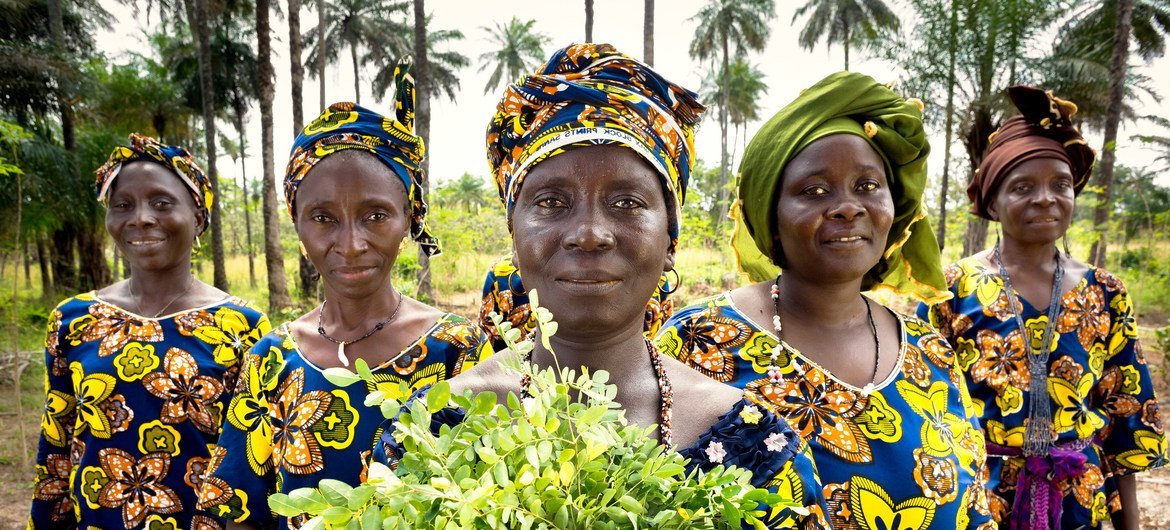 UN Women are helping women farmers successful  Guinea with caller   opportunities to make  income and amended   assemblage  life.