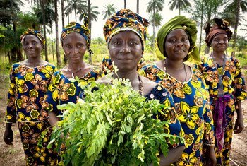 Dans le village de Katfoura, sur les îles Tristao en Guinée, l'organisation de la société civile Partenariat Recherches Environnement Médias (PREM) offre aux femmes rurales de nouvelles opportunités pour générer des revenus et améliorer la vie communautaire.