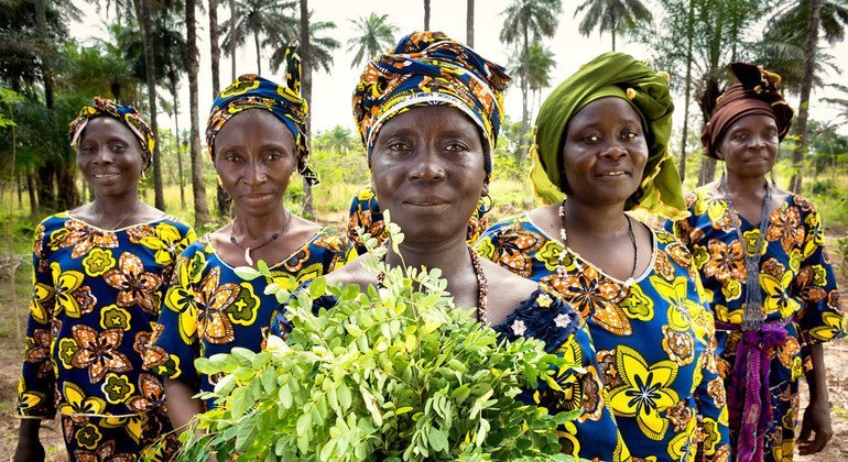 Dans le village de Katfoura, sur les îles Tristao en Guinée, l'organisation de la société civile Partenariat Recherches Environnement Médias (PREM) offre aux femmes rurales de nouvelles opportunités pour générer des revenus et améliorer la vie communautai