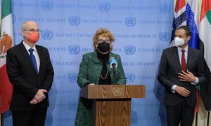 السفيرة جيرالدين بيرن ناسون (في الوسط)، الممثلة الدائمة لأيرلندا لدى الأمم المتحدة، تقدم إحاطة للصحفيين بعد اجتماع مجلس الأمن بشأن الحالة في الشرق الأوسط، بما في ذلك القضية الفلسطينية. على يسارها، ممثل إستونيا وعلى يمينها ممثل فرنسا.