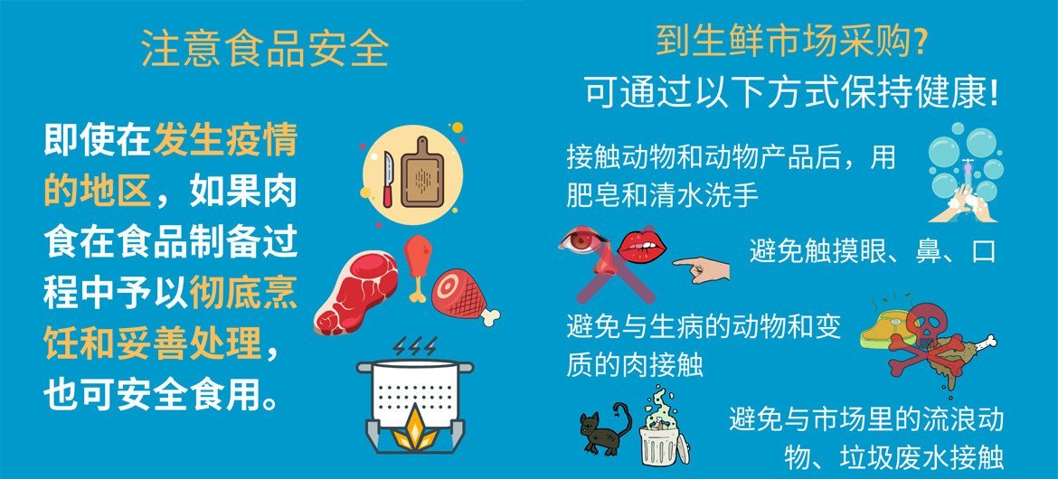 世界卫生组织发布的关于在中国预防新型冠状病毒的信息图，重点介绍了食品安全和卫生提示。