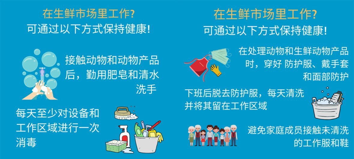 世界卫生组织信息图显示了生鲜市场工人预防冠状病毒的健康指南，包括洗手、使用防护装备、消毒设备以及保持工作服清洁。