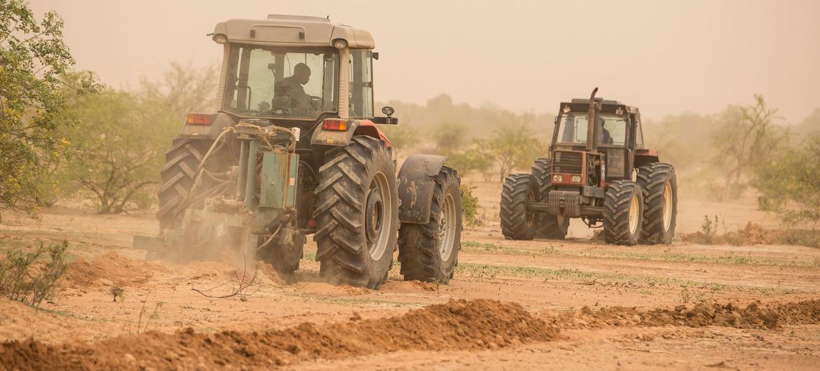 Tractors at work to prepare the land for plantation in Burkina Faso.