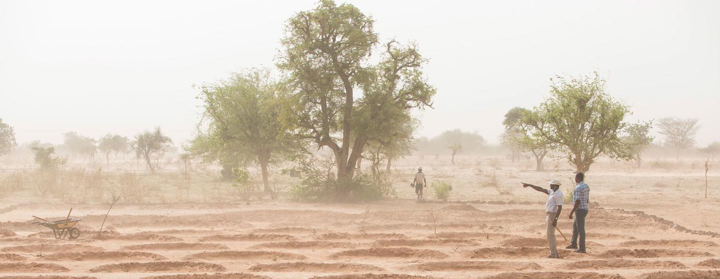 A field with mid-moon dams used to save water in the coming rainy season in Burkina Faso.