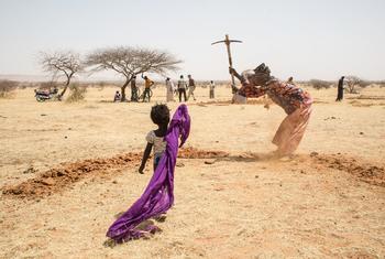 نساء يحفرون الآبار لجمع المياه في النيجر.
