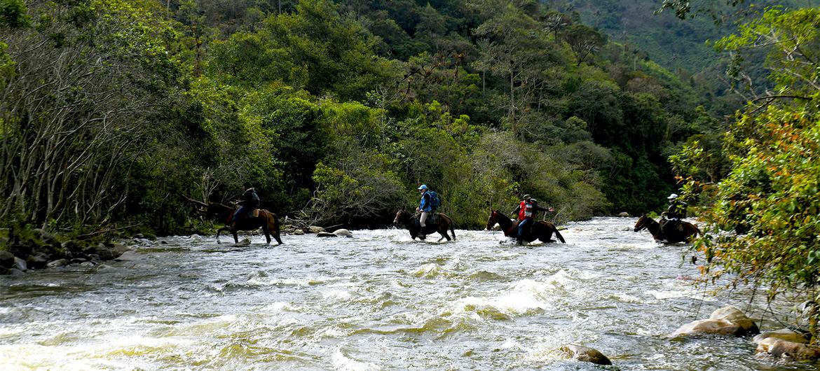 Former FARC combatants participate in a project for demining in Colombia.