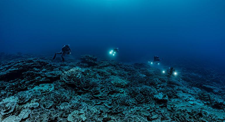 Una misión ciéntifica de la UNESCO descubre un hermoso y raro arrecife de coral, en la costa de Tahití. Se trata del mayor en el mundo. 