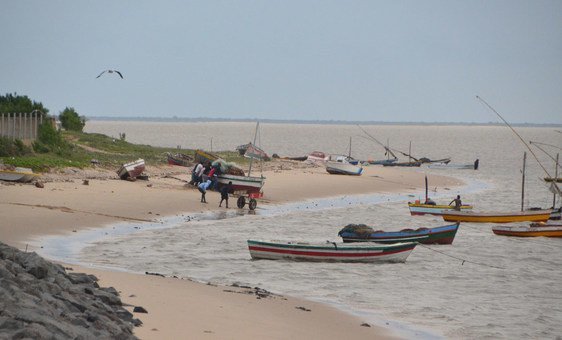 Declaração de Maputo | ONU News