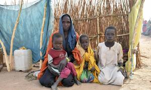 Violence in West Darfur has forced thousands of Sudanese across the border into Chad.
