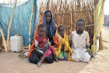 Violence in West Darfur has forced thousands of Sudanese across the border into Chad.