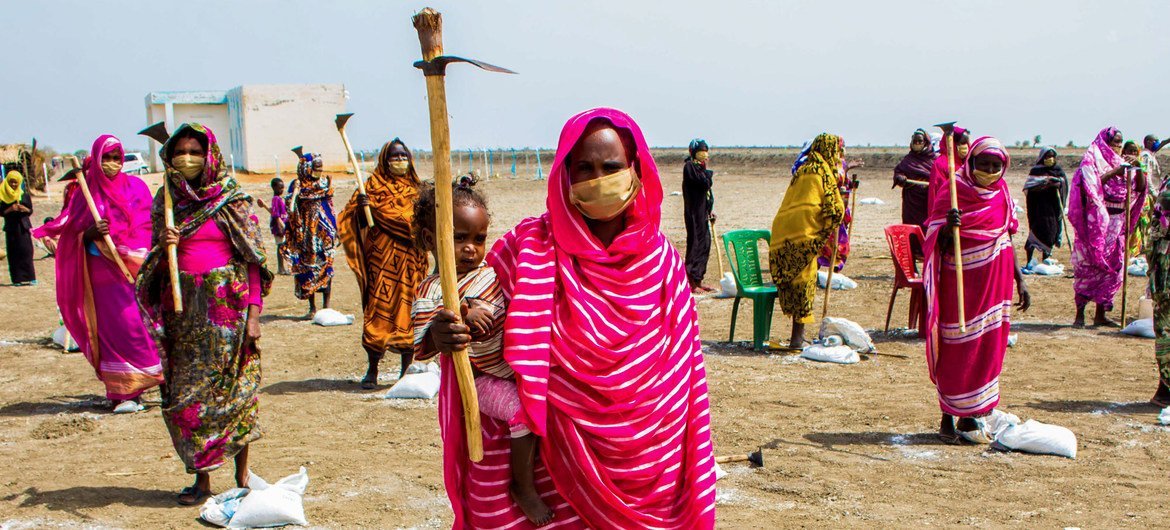 UNDP is supporting Sudanese farmers whose incomes and crop yields have been impacted by COVID-19 lockdowns.