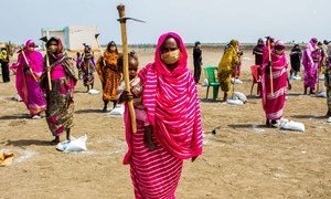 برنامج الأمم المتحدة الإنمائي يدعم المزارعين السودانيين الذين تأثرت مداخيلهم وغلات محاصيلهم بتدابير الإغلاق الناتتجة عن انتشار كوفيد-19 .