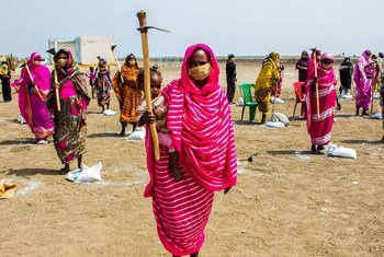 من الأرشيف: برنامج الأمم المتحدة الإنمائي يدعم المزارعين السودانيين الذين تأثرت مداخيلهم وغلات محاصيلهم بتدابير الإغلاق الناتتجة عن انتشار كوفيد-19 .