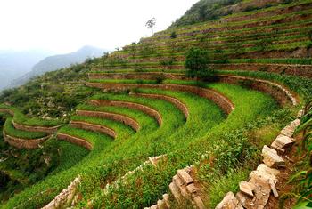 El sistema de terrazas de piedra de las tierras áridas de Shexian es un sistema agrícola de secano que data del siglo XIII.