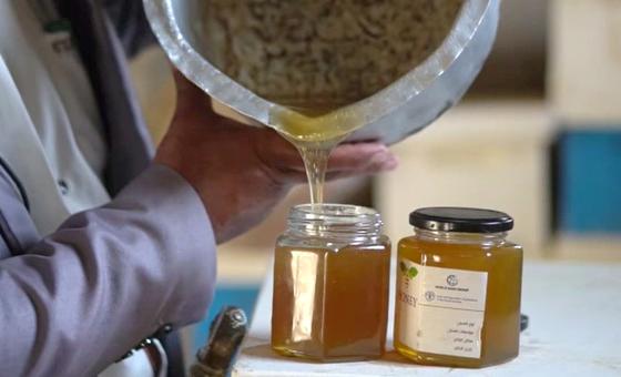 يحظى العسل اليمني بتقدير عالمي، وتعود تقاليد تربية النحل في البلاد إلى قرون.