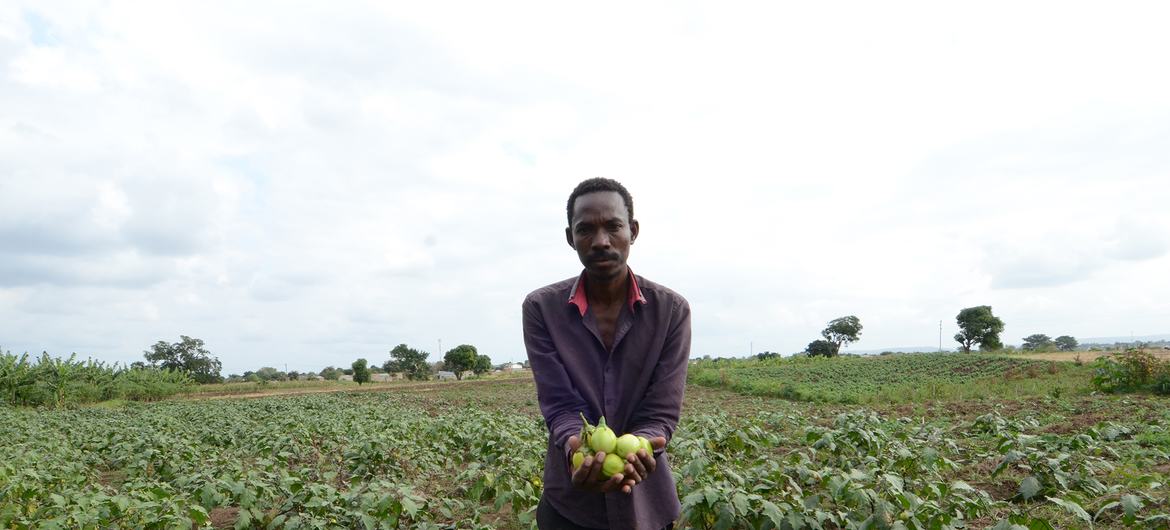 Anjum conheceu as plantações do produtor Baraka Patrice, de Burundi