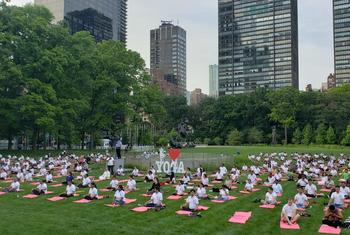 2022年6月20日在纽约联合国总部举行的国际瑜伽日庆祝活动。