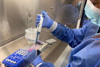 Profesionales de laboratorio de nueve países de las Américas y de México se capacitan en la detección de la viruela del mono con el respaldo del InDRE y de OPS.