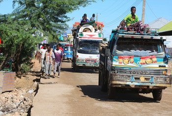 索马里继续遭受着长期的人道主义危机，洪水和干旱不断交替，2020年又勉励沙漠蝗虫和2019冠状病毒病。