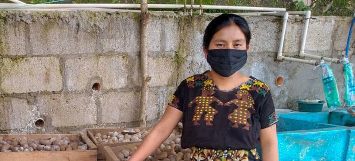 The UN in Guatemala has been supporting K’iche’ indigenous farmers during the pandemic.