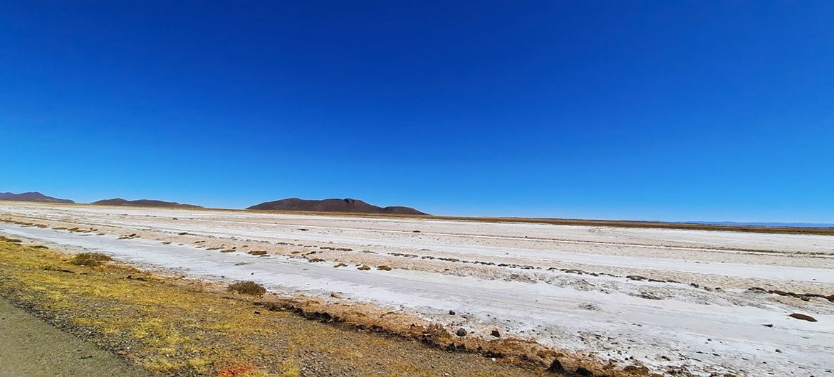 Quase 1 milhão de hectares de solos são afetados pelo sal. 