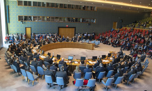 В Совбезе ООН состоялось голосование по двум резолюциям, продлевающим транграничные поставки в Сирии. Ни одна не прошла. 