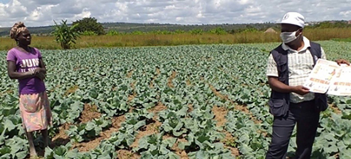 Agricultora da província angolana do Huambo recebe mensagens sobre propagação da Covid-19.