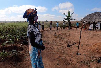 Des agriculteurs portent des masques lors d'une session sur la prévention du COVID-19 qui se déroule dans une ferme-école de la province de Malanje, dans la communauté de Lombe en Angola
