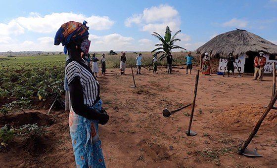 Agricultores usam máscaras em sessão da Escola de Campo na província de Malanje, comunidade de Lombe em Angola