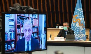 Dr. Anthony Fauci (on screen) and Dr. Tedros Adhanom Ghebreyesus at the WHO Executive Board Meeting.