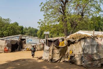 A child walks in camp for Internally displaced persons in north-east Nigeria.