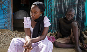 طفلان يجلسان أمام خيمتهما في إحدى القرى في أقصى شمال الكاميرون، بعد أن وصلت جماعة بوكو حرام إلى بلدتهم.