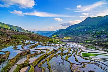 Système de rizières en terrasses dans les régions montagneuses et vallonnées du sud de la Chine.