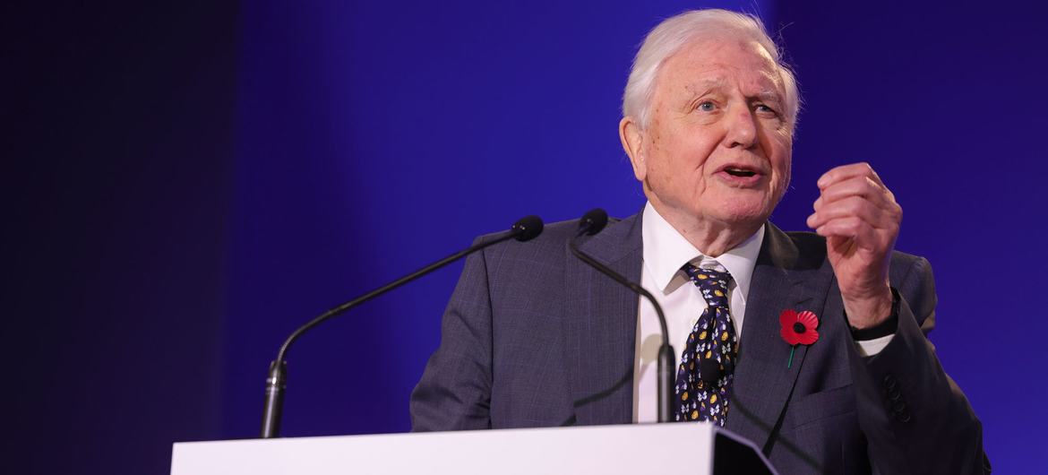 David Attenborough speaks at the opening ceremony of the COP26 Climate Change Conference in Glasgow in November 2021.